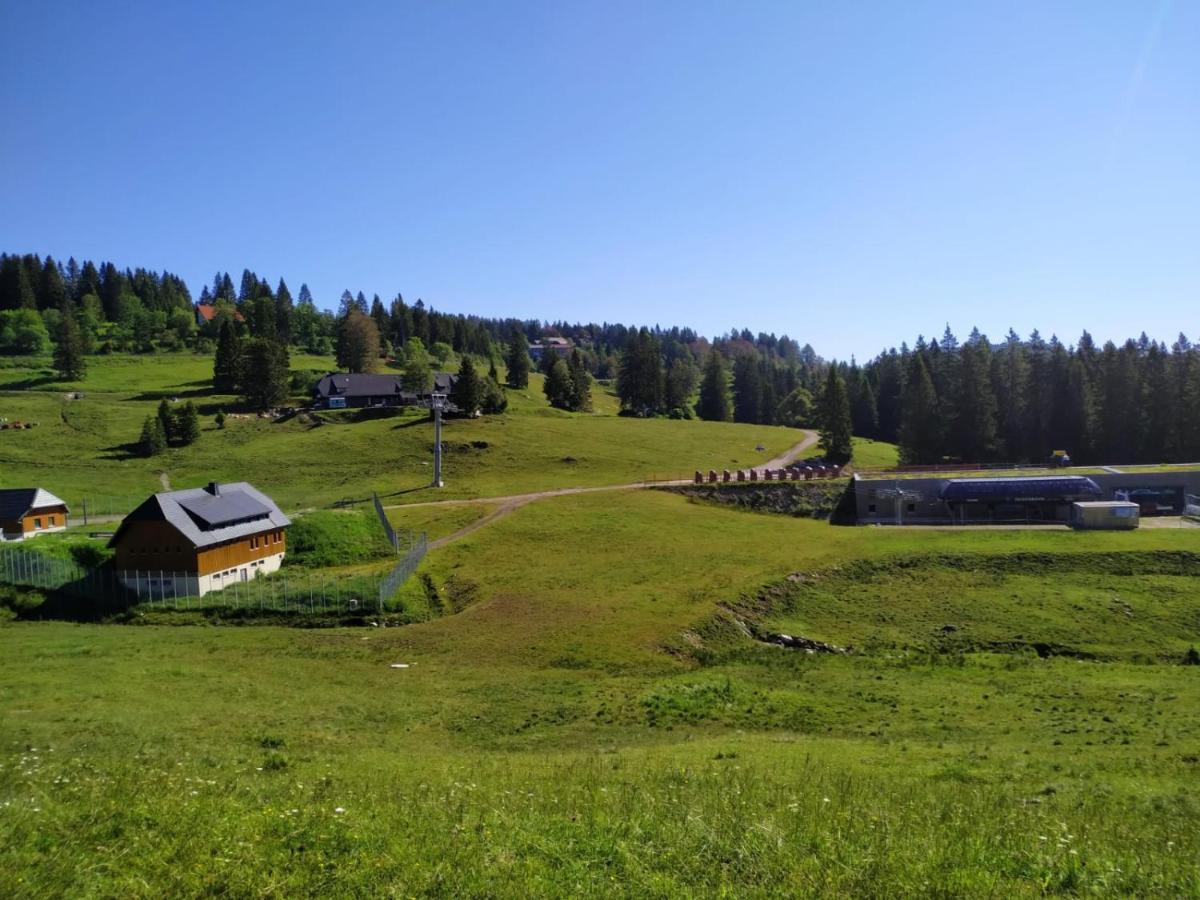 Ferienwohnung Feldberg - Residenz Grafenmatt Exterior foto