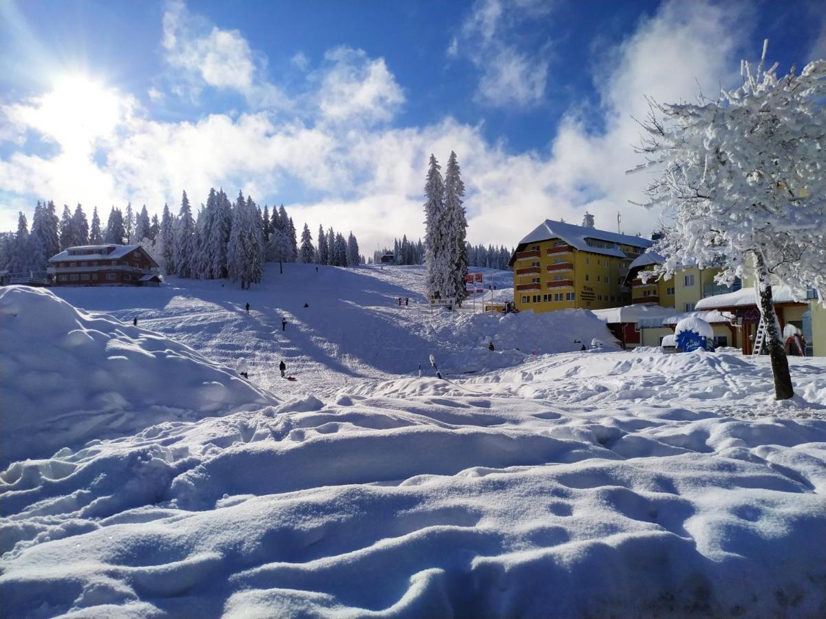 Ferienwohnung Feldberg - Residenz Grafenmatt Exterior foto